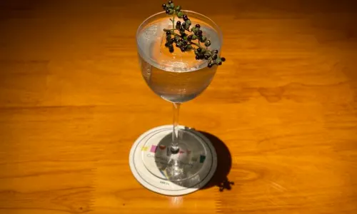 Bar Muzo Drinking Co.