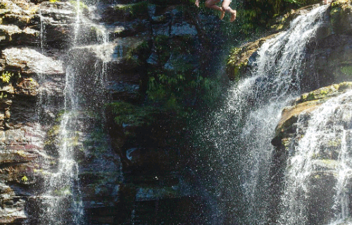 Paddle 9