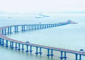 港珠澳大橋遊