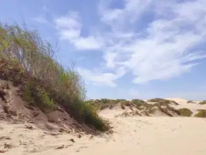 Horqin Chaohai Desert Scenic Area