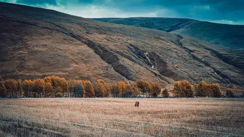 Tagong Grassland attraction in Kangding