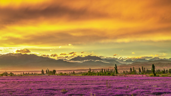 Sunset Sightseeing in Yining