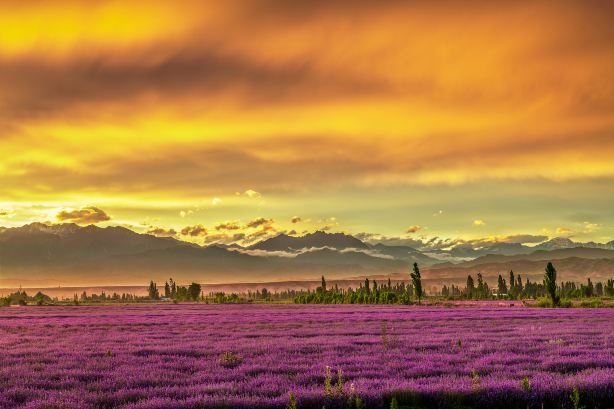 Sunset Sightseeing in Yining