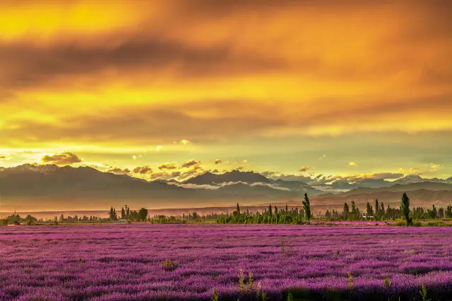 Sunset Sightseeing in Yining