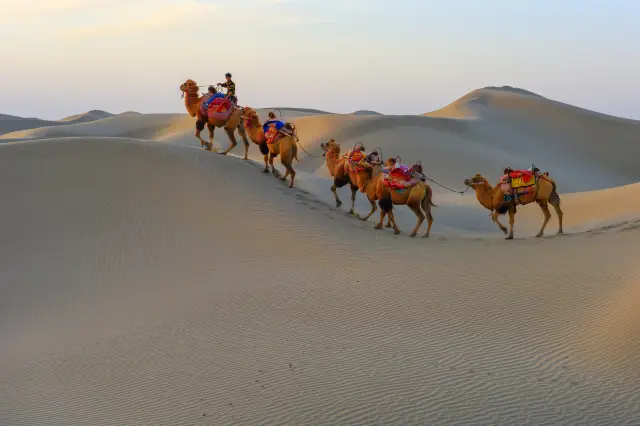 Camel Riding in Kashi