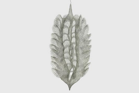 Ruth AsawaDoing Is Living | David Zwirner
