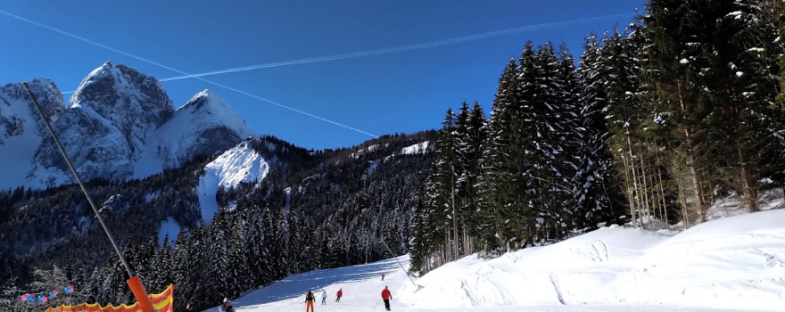 Zwieselalm