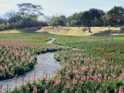 Xiamen Botanical Garden