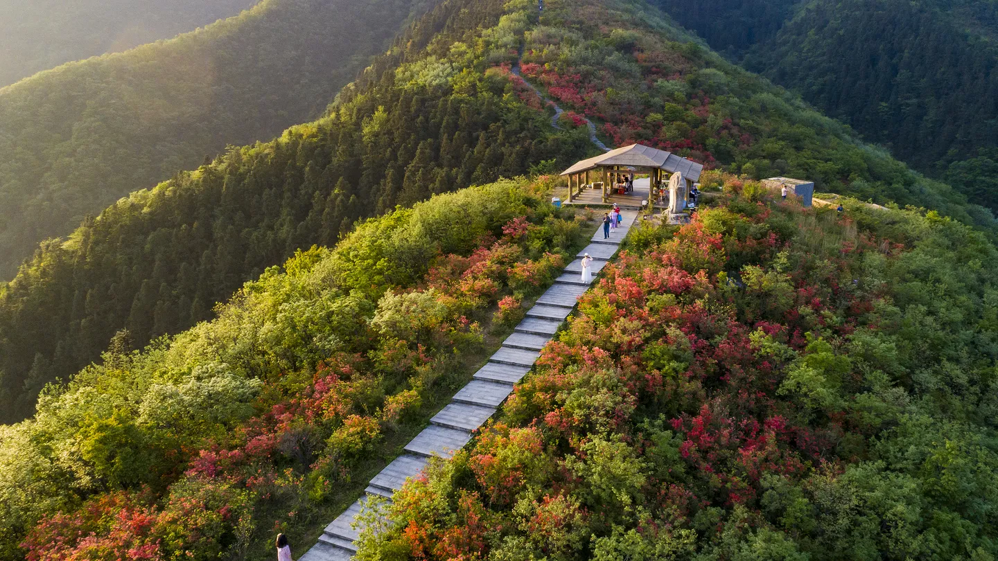 4_大熊山國家森林公園