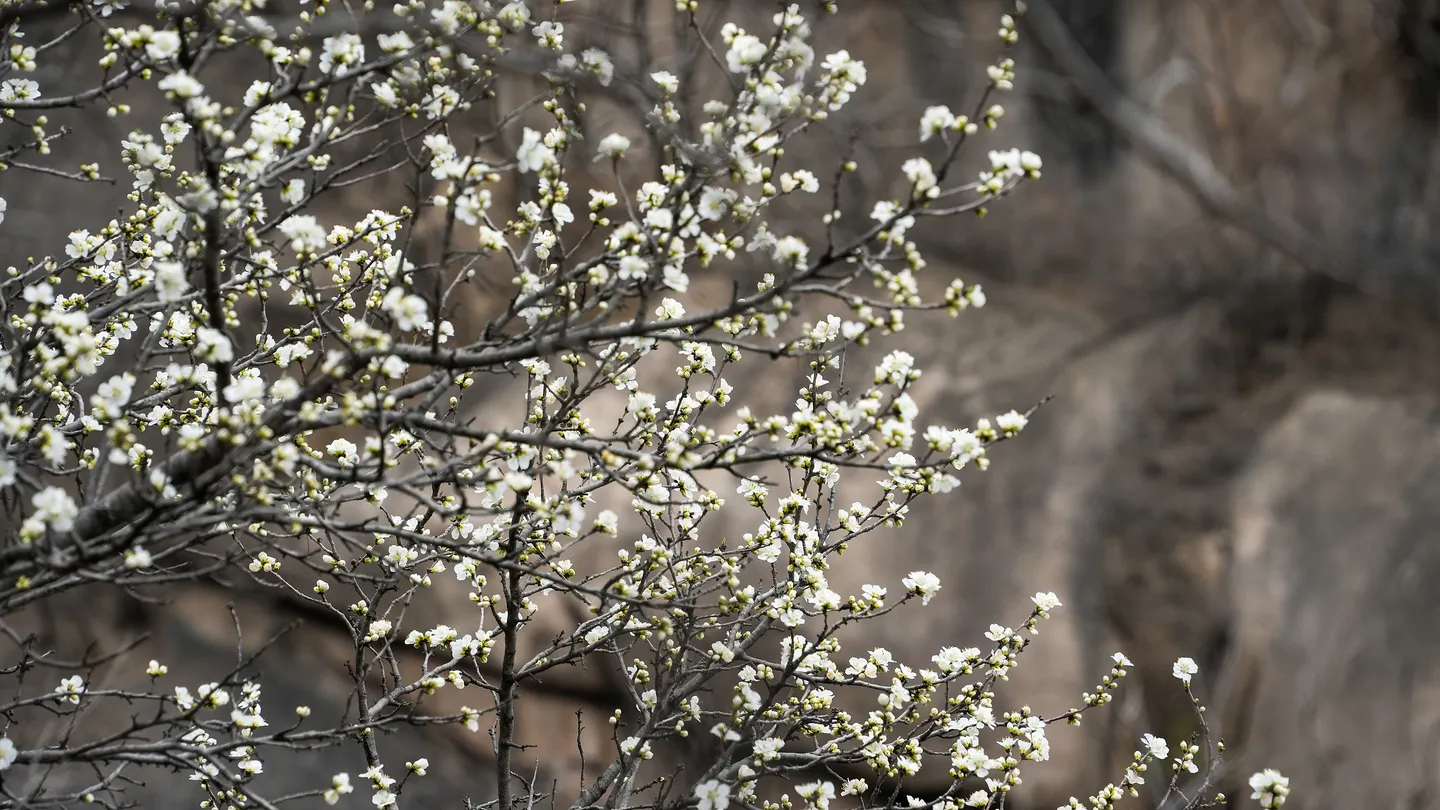 5_Fenghuangling Natural Scenic Area