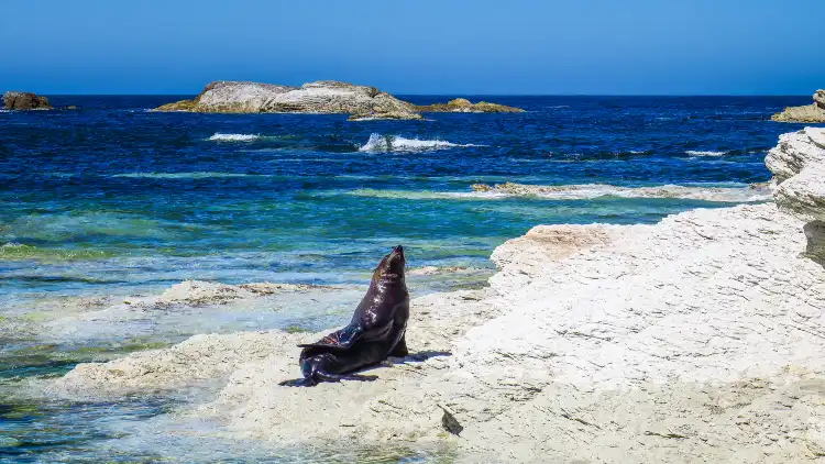 Hotels near Ohau Point Seal Colony