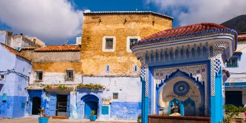 舍夫沙萬麥地那