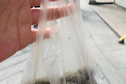 Yeshi Fried Glutinous Pudding