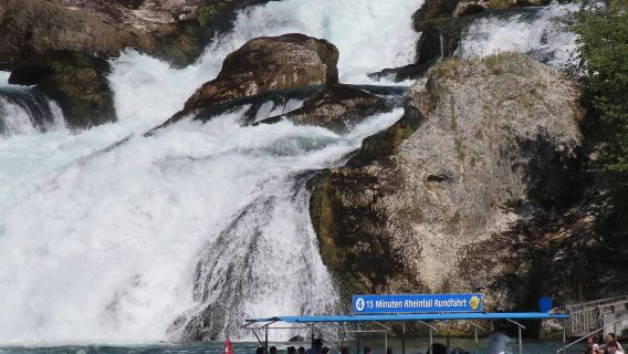 Rhine Falls Viewpoint