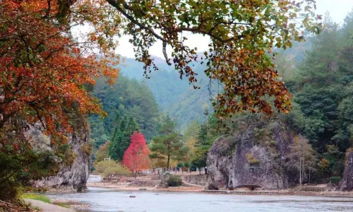 Bai Shui Yang