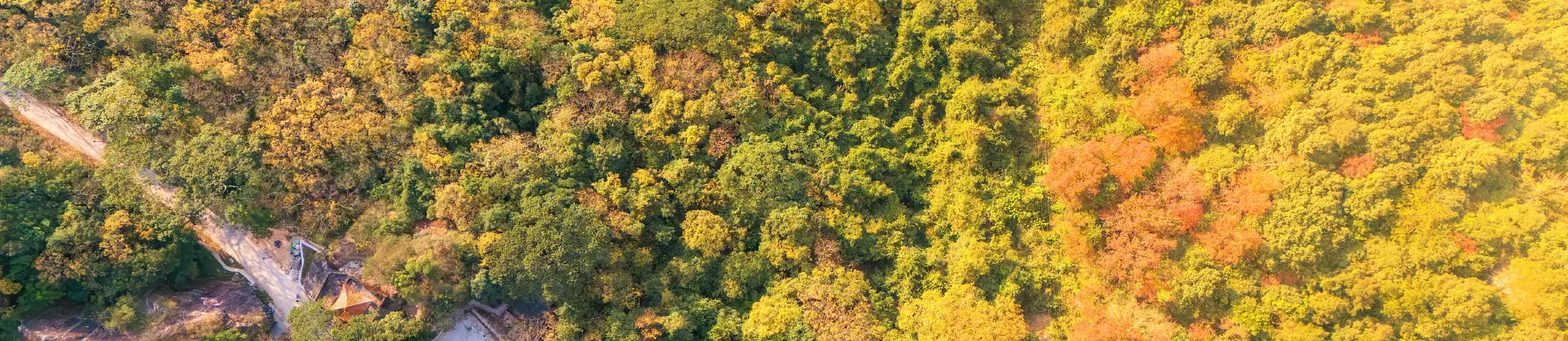 Paysages d’automne