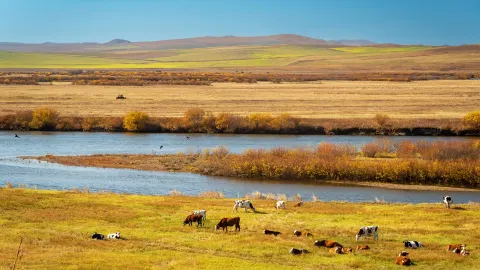 Shiwei Linjiang Boundary River Scenic Area attraction in Ergun