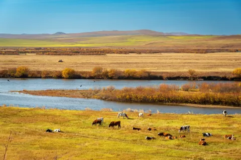 Shiweilinjiangjiehe Scenic Area