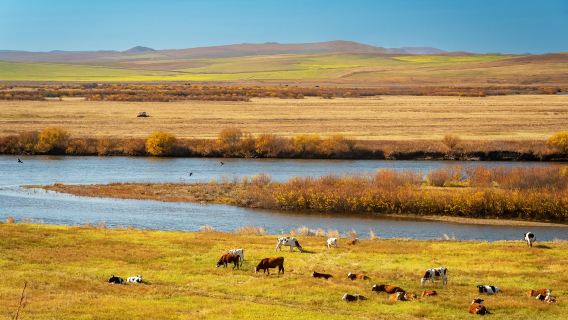Shiwei Linjiang Boundary River Scenic Area
