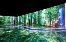 Arcadia Earth Toronto