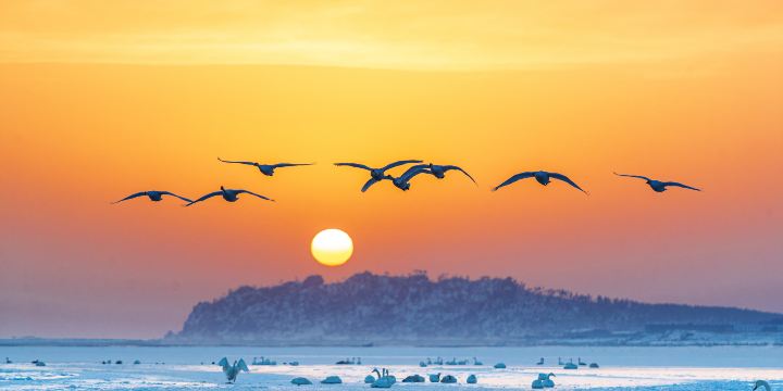 Sanmenxia Swan Lake Resort