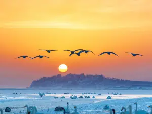 Sanmenxia Swan Lake Resort