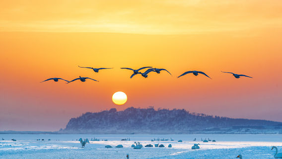 Sanmenxia Swan Lake Resort