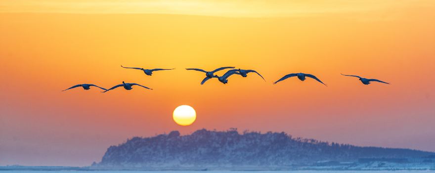 Sanmenxia Swan Lake Resort