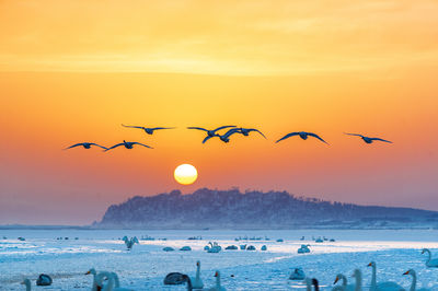 Sanmenxia Swan Lake Resort