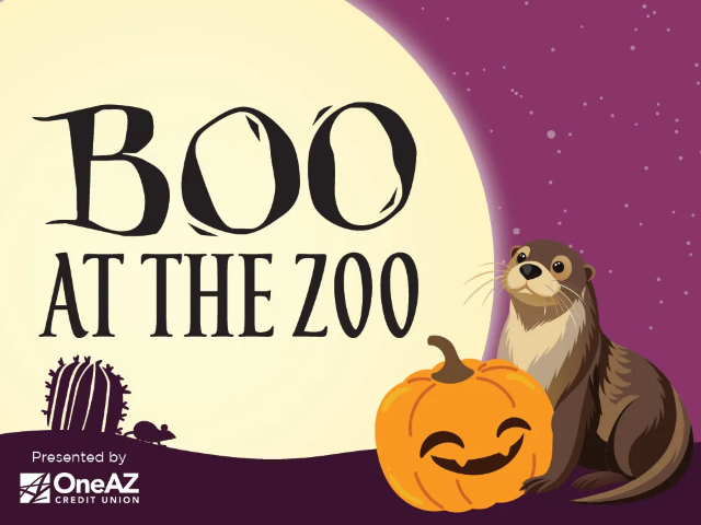 Boo at the Zoo | Tucson