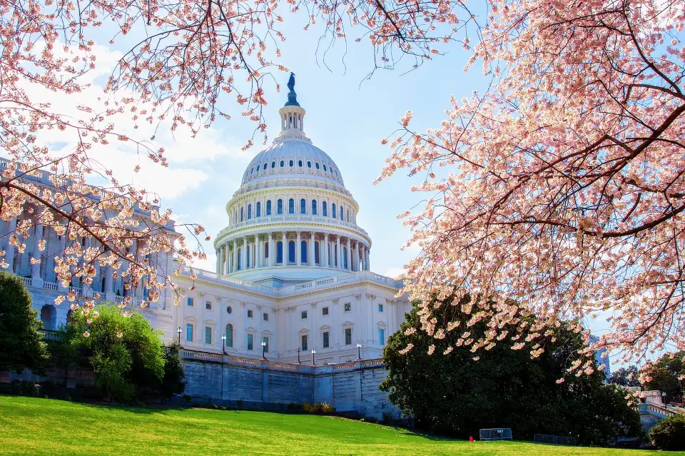 5_United States Capitol