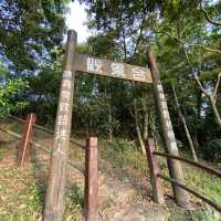 簡單行山路線 I #飛鵝山觀景台 I 最佳香港 日落美景 