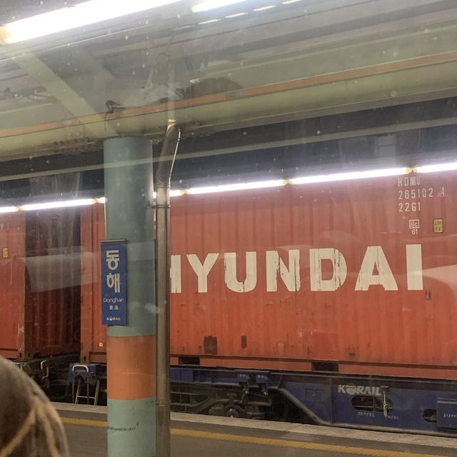 강릉 [정동진역]