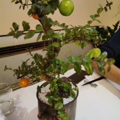 Maggie's Restaurant User Photo