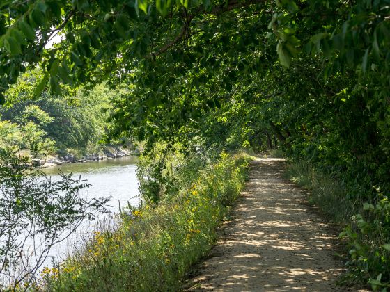 Gyeongpo Lake Migratory Bird Habitat