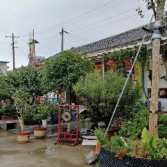 大宅院張用戶圖片