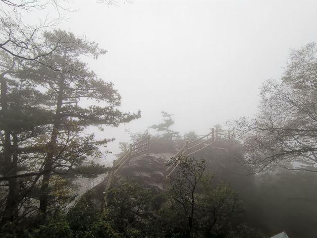 牛背梁国家森林公園