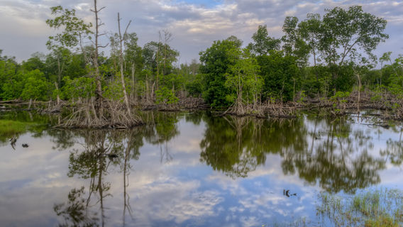 Caohu Region of Rivers and Lakes