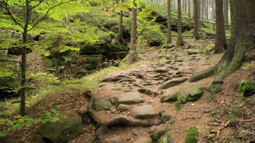 Tongtianhe National Forest Park (South Gate)