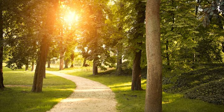 Urban Ecological Forest Park