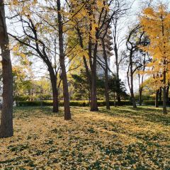 DaDong Roast Duck (Fucheng Road) User Photo