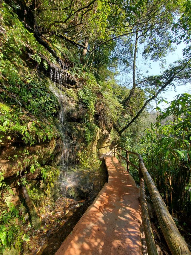 Bifengxia Giant Panda Base