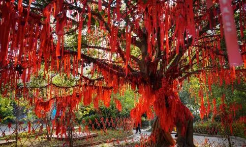 모강 북회귀선 표지 공원