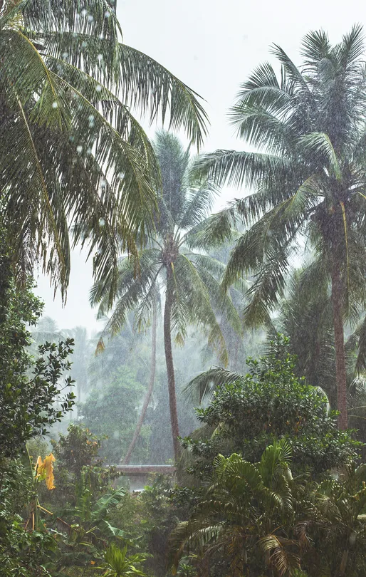 4_Taman Alam Kuala Selangor