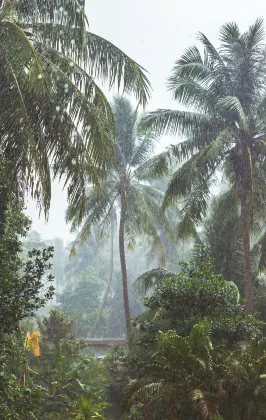 Хоумстей в г. Ампанг Джая