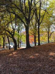 普蘭迪公園