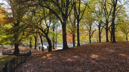 普蘭迪公園