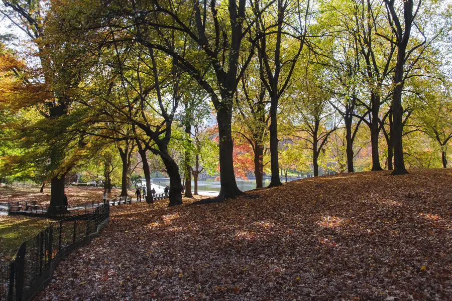 普蘭迪公園