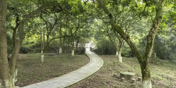 Sumian Park