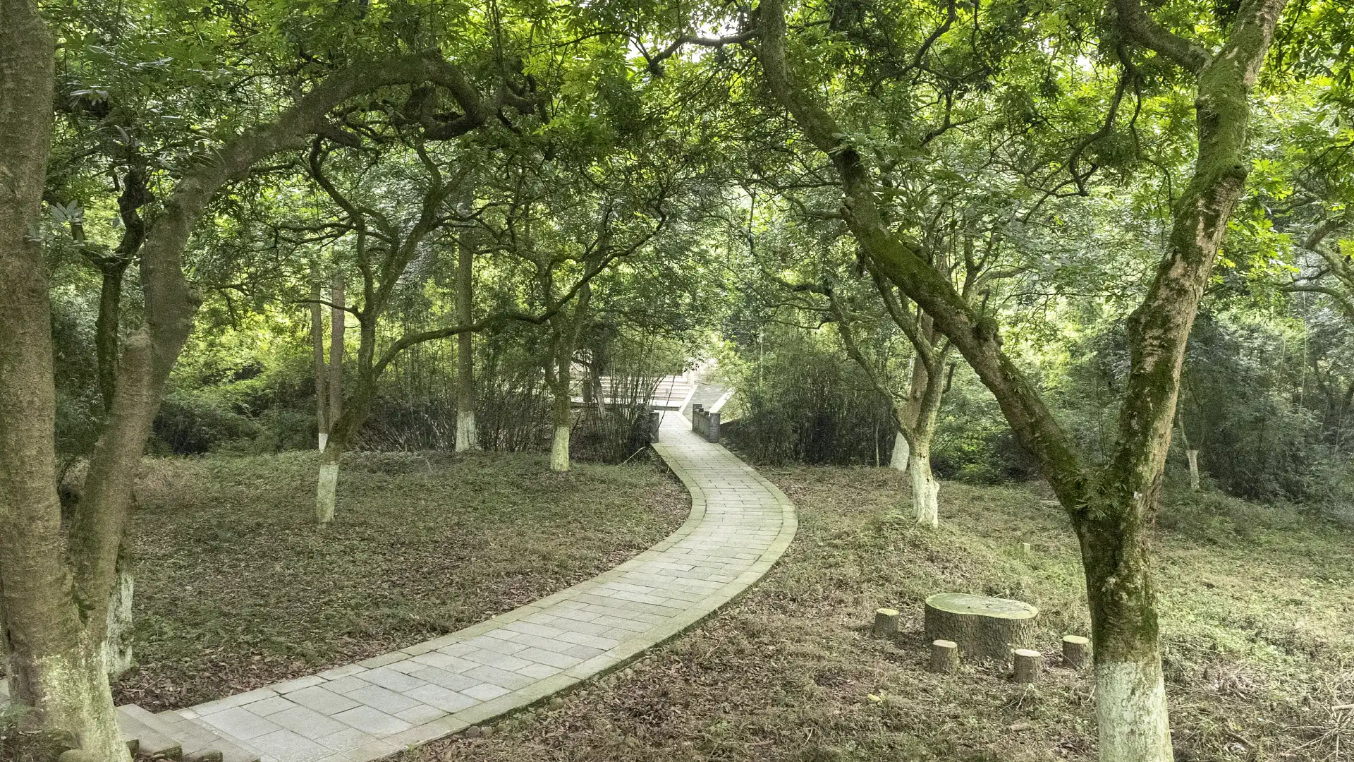 Hotels near Sumian Park